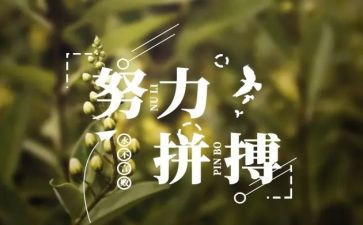 关于写名人故事的作文通用7篇