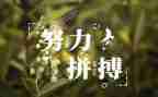 关于写名人故事的作文通用7篇