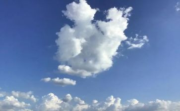 明天的我作文300字8篇