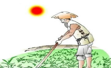 《悯农》古诗教案5篇