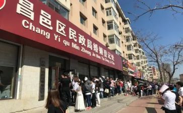 市民政局2024年工作总结8篇