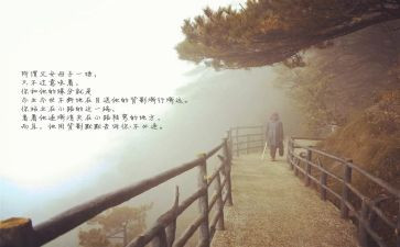 目送龙应台读后感8篇