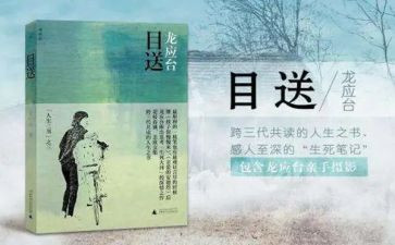 《目送》的读后感优秀7篇
