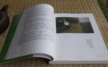 《目送》读书心得推荐5篇