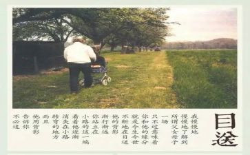 《目送》的读后感最新5篇