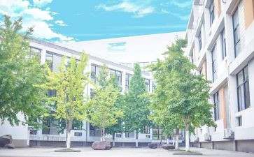 感恩母校老师的演讲稿8篇