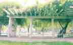 回小学母校的演讲稿5篇