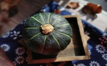 运南瓜的教案精选8篇