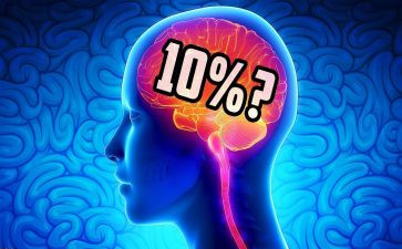 电脑的利与弊作文600字8篇