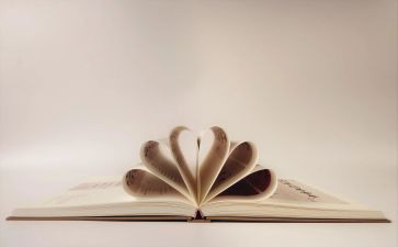 爱在那一刻绽放作文5篇