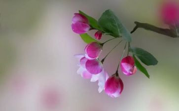 花样年华的演讲稿6篇