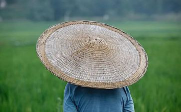 农夫与鹰读后感8篇