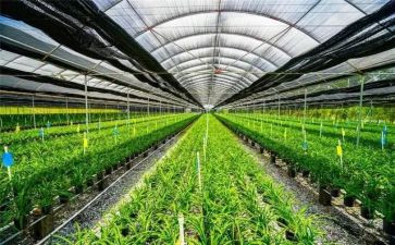 农业办工作总结推荐6篇