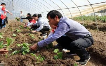 助理农艺师的工作总结优秀5篇