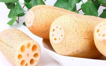 大班关于藕的教案参考8篇