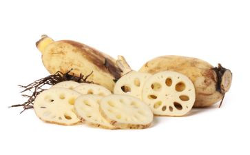 藕的秘密教案参考6篇