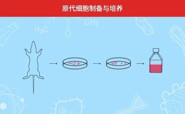 学生培养工作计划5篇