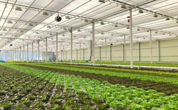 弘扬和培育民族精神活动方案8篇