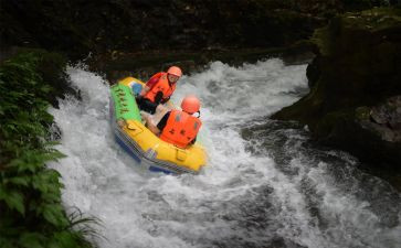 鲁漂流记读后感300字8篇
