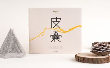 《皮囊》读后感8篇