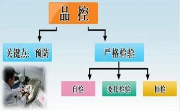 品控的个人总结6篇