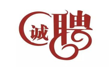 试聘期述职报告6篇