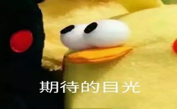 期待的暑假作文300字8篇