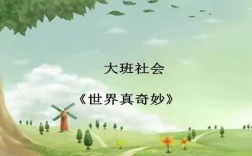奇妙的书读后感参考5篇