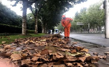 清扫活动总结5篇