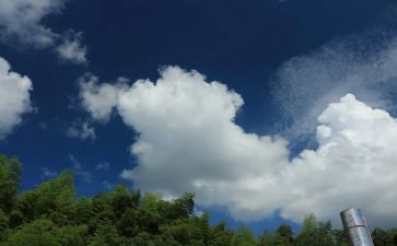 你若安好,便是晴天读后感6篇