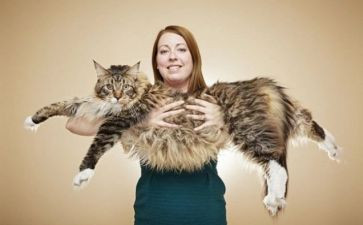 俗世奇人读后感范文5篇