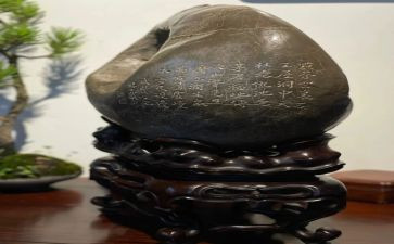 《黄山奇石》教案模板8篇