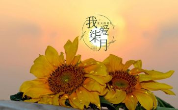 七月的工作总结5篇
