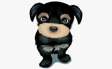 社区犬只管理工作总结6篇
