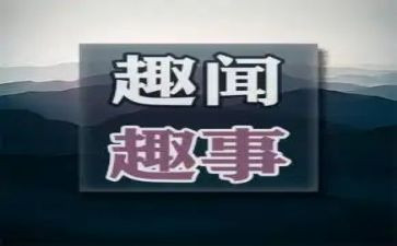 春节趣事作文高中作文优质7篇
