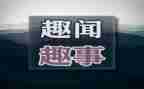 春节趣事作文高中作文优质7篇