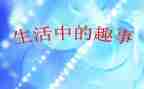 春节趣事作文高中作文优秀6篇