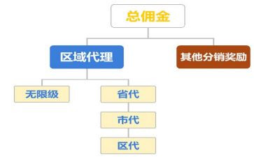 品牌区域代理合同6篇