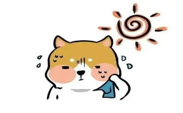 作文热爱800字8篇