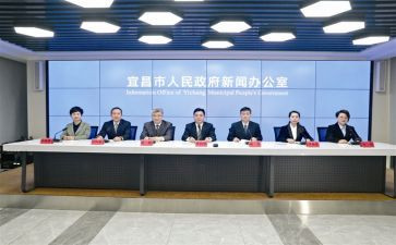 镇人代表述职报告精选8篇