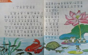 教师个人教学反思6篇