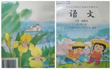 教师个人教学心得体会7篇