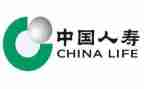 人寿保险的培训心得体会5篇