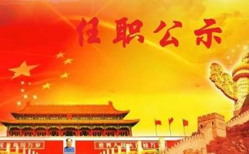 任职内专业技术工作总结7篇