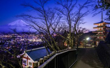 日本书的读后感推荐8篇