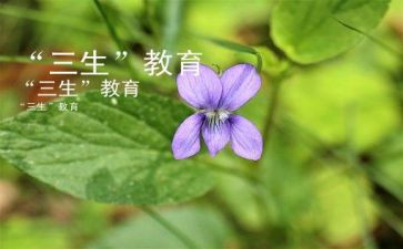 高三生物教师教学工作总结6篇
