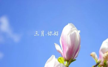 2024幼儿园大班三月份工作总结7篇
