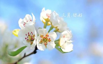 2024年幼儿园三月份工作计划7篇