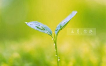 幼儿教师三月工作计划6篇