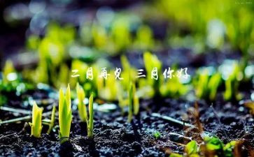 我家乡的三月作文5篇